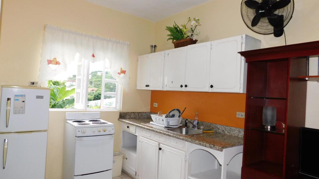 Dancehall Hostel Kingston Kültér fotó