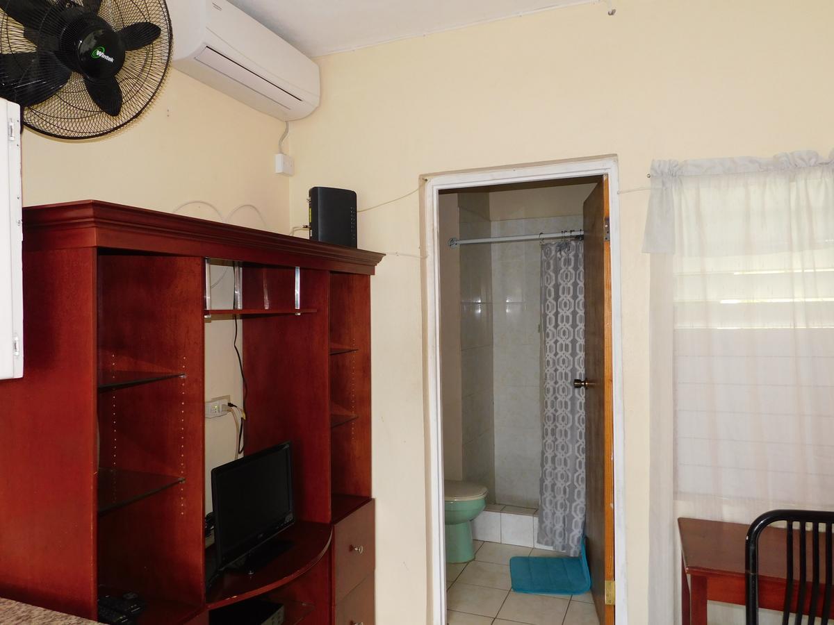 Dancehall Hostel Kingston Kültér fotó